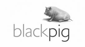 Black Pig