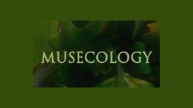Musecology - Graphic Design Service
